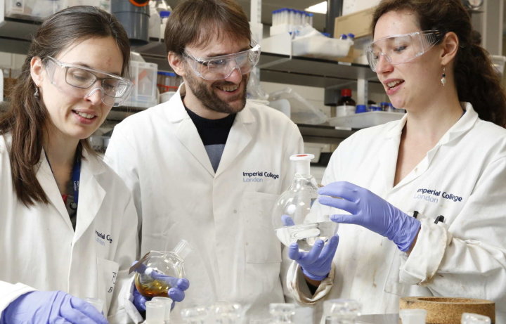 Dr Agi Brandt, Professor Jason Hallett and Dr Florence Gschwend