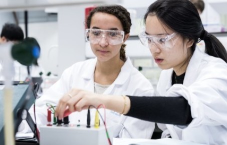 An image of students conducting an experiment
