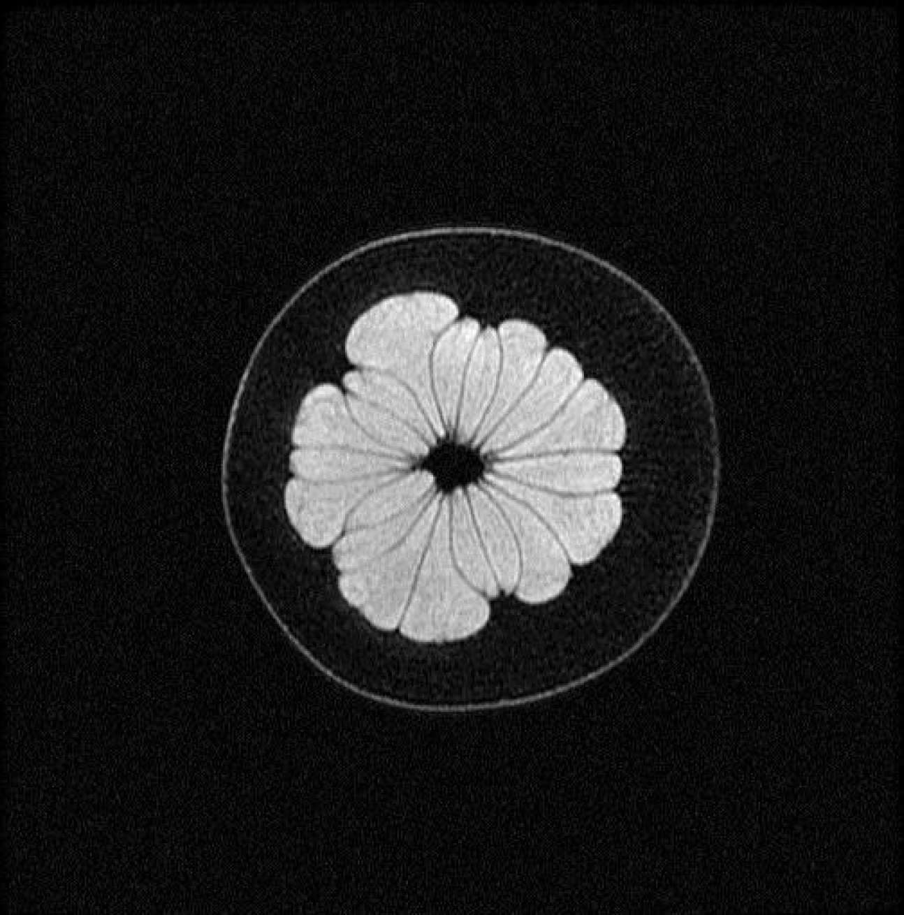 1H MR images of pomelo fruit