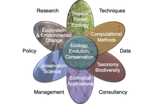 MSc and Mres