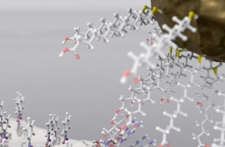 Centre for Plasmonics and Metamaterials