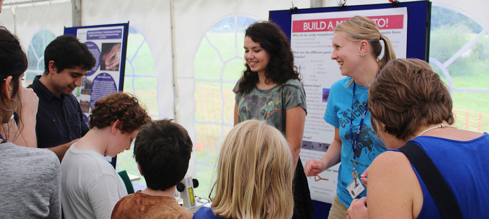 Silwood fun day