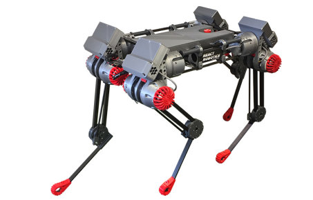 DogBot