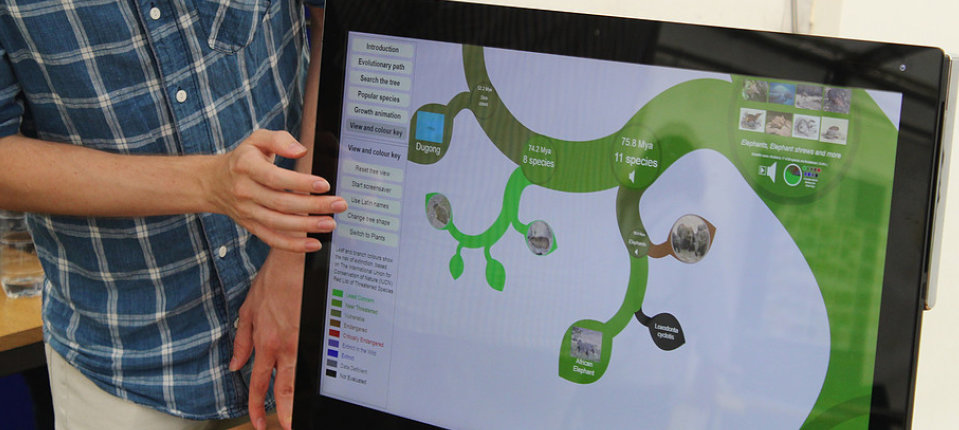 OneZoom Tree of Life Explorer