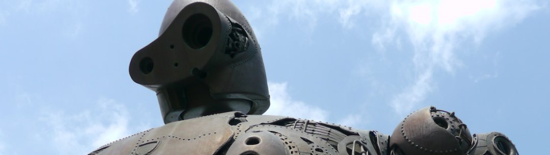 Human Robotics