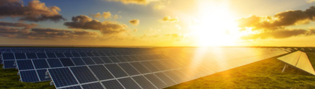 Solar panels in a field