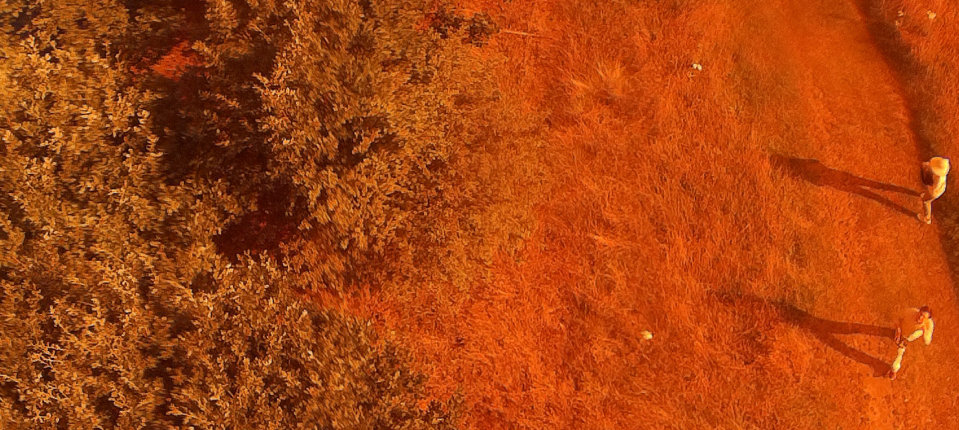 Drone image