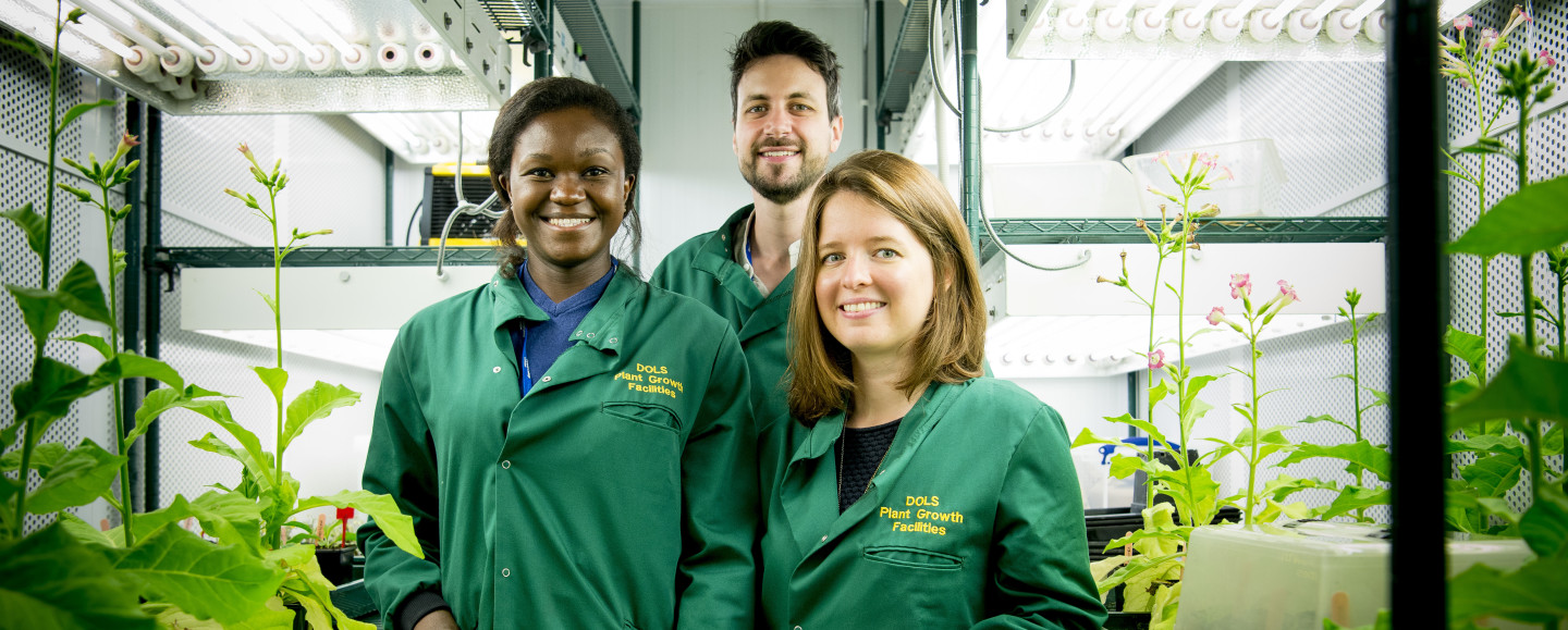 BIO-F Solutions