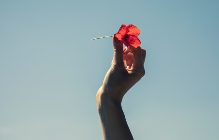 hand holding flower in the sky