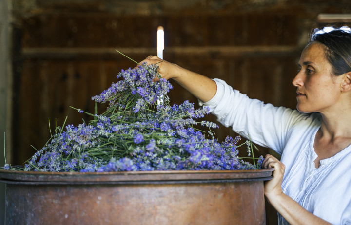 Person with a large container of lavender
