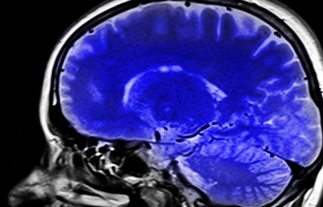 ai-clinician