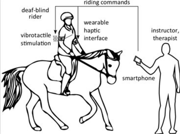 horse