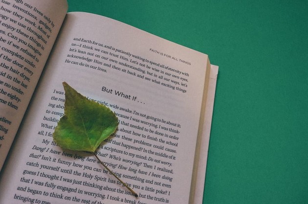 Book with a leaf on a page