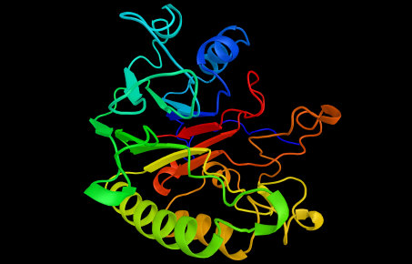 Retinal-Forming Carotenoid Oxygenase, a member of a family of enzymes involved in the cleavage of carotenoids to produce Vitamin A. 3d rendering.