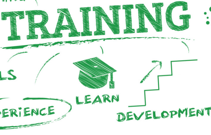 Training word cloud with off shoots to the words experience, learn, development in green font