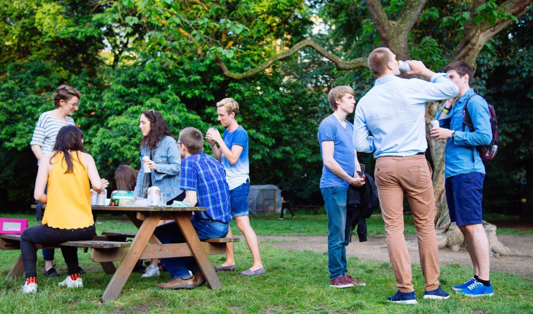 Summer Picnic Social