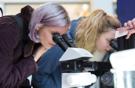 A member of the public looks into a microscope