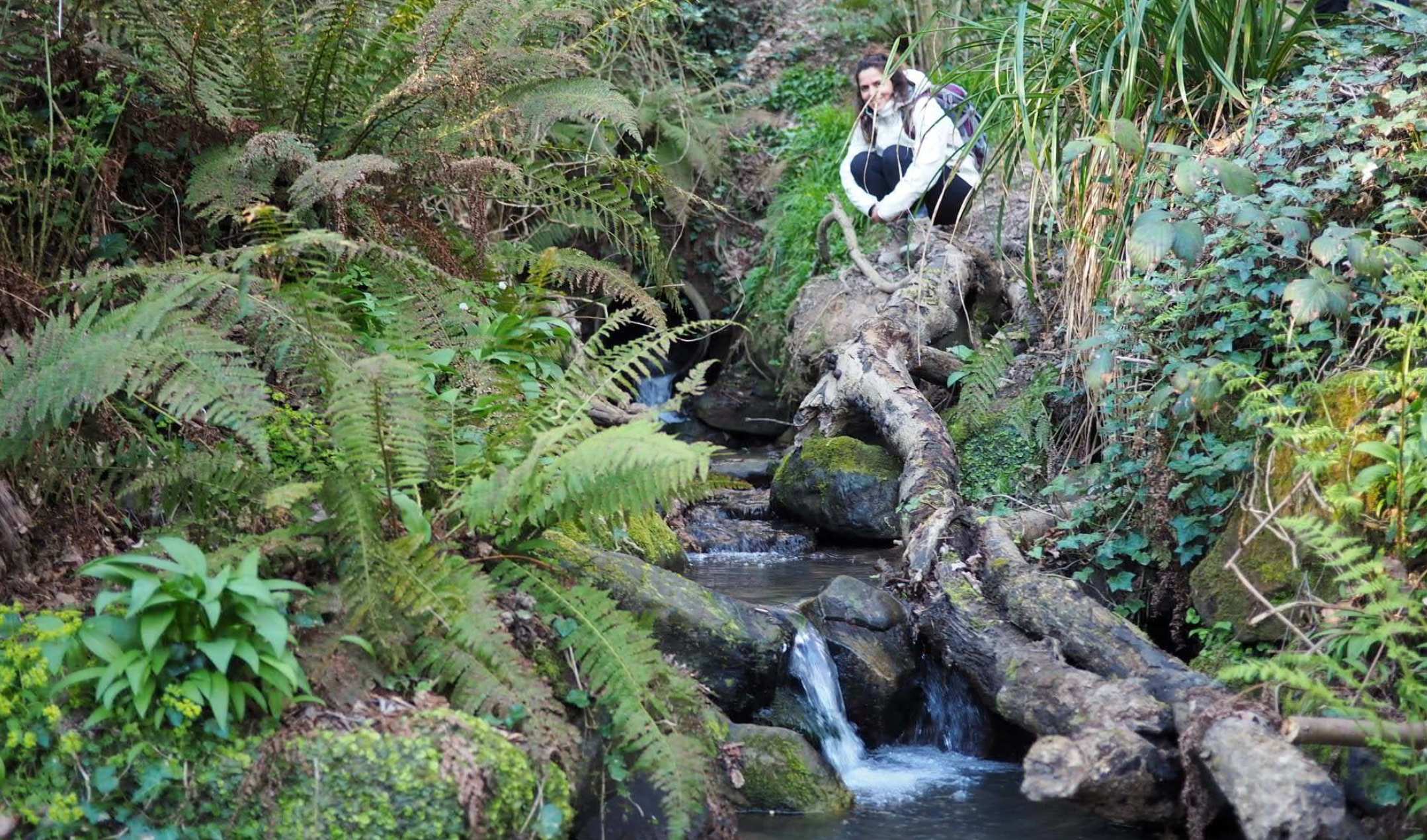 Hasting Hike River