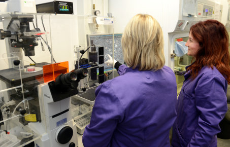 tep researchers look at results
