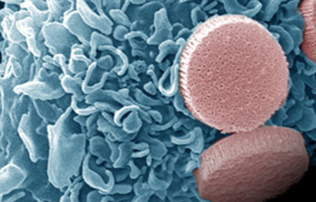 Nanomedicine