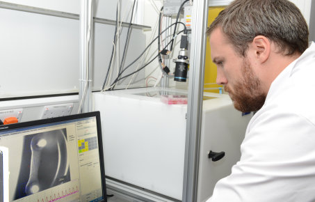 researcher looks at heart muscle cell