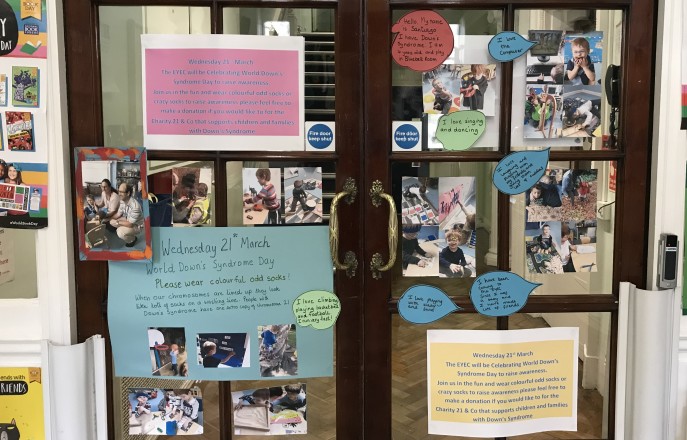 Down Syndrome display