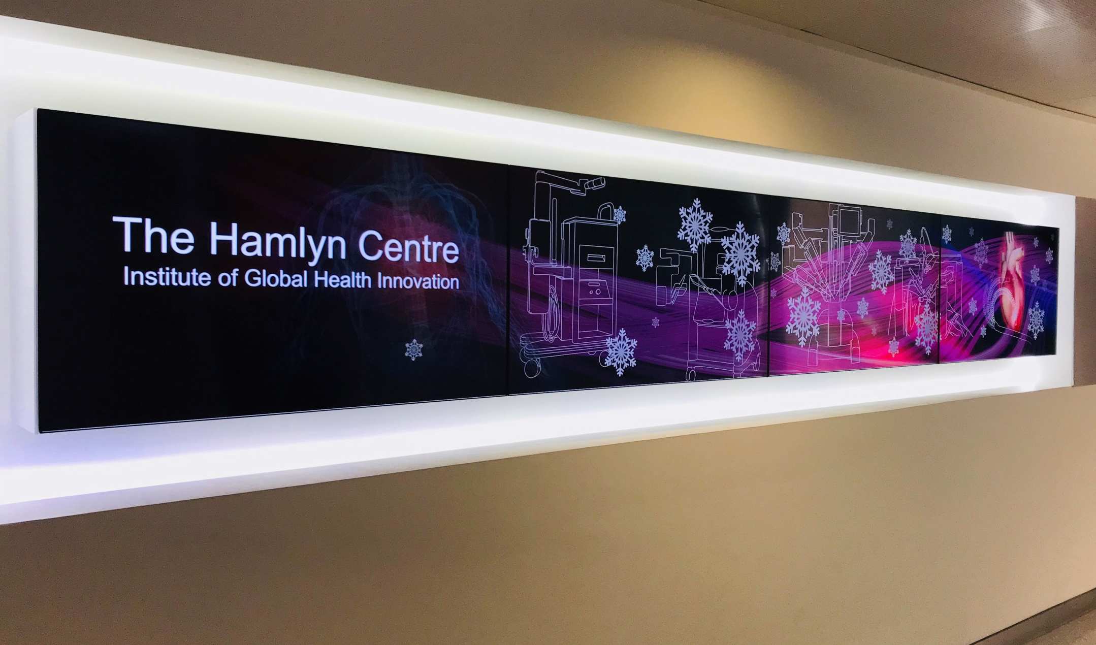 Hamlyn Winter School on Surgical Imaging and Vision 2019
