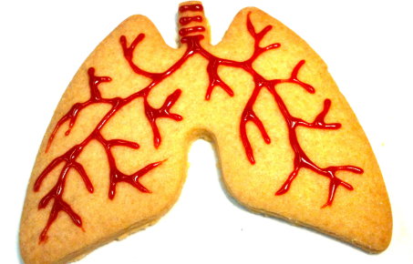 Lung shaped biscuits