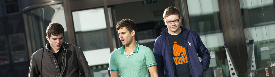 Undergraduates