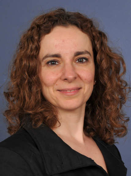 Maria Charalambides IMSE research board