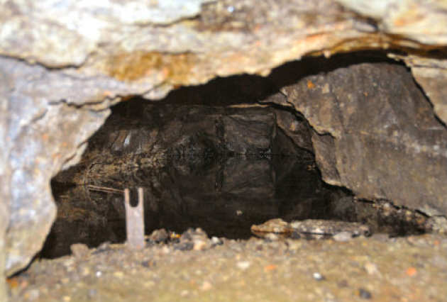 Shropshire 'Tar Tunnel', England (2010)