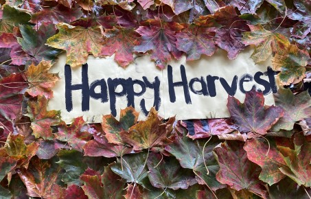 Harvest