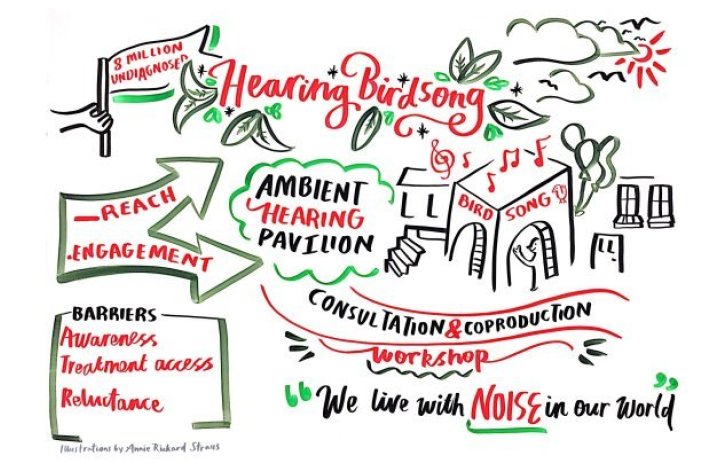 Hand-drawn graphic about birdsong