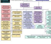 Image of the bioengineering professional services staff organisational chart