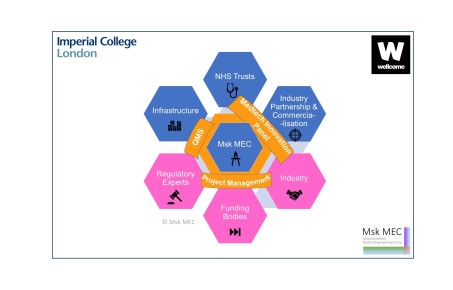 MSk accelerator 