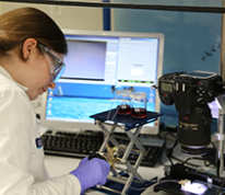 PhD Scholarships
