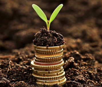 Picture of a pile of coins with a seedling browing out of the top