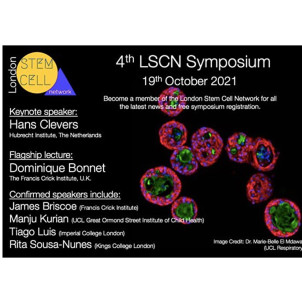 ISRMN Intravital Microscopy
