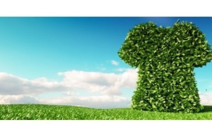 Sustainable Clothing Collective